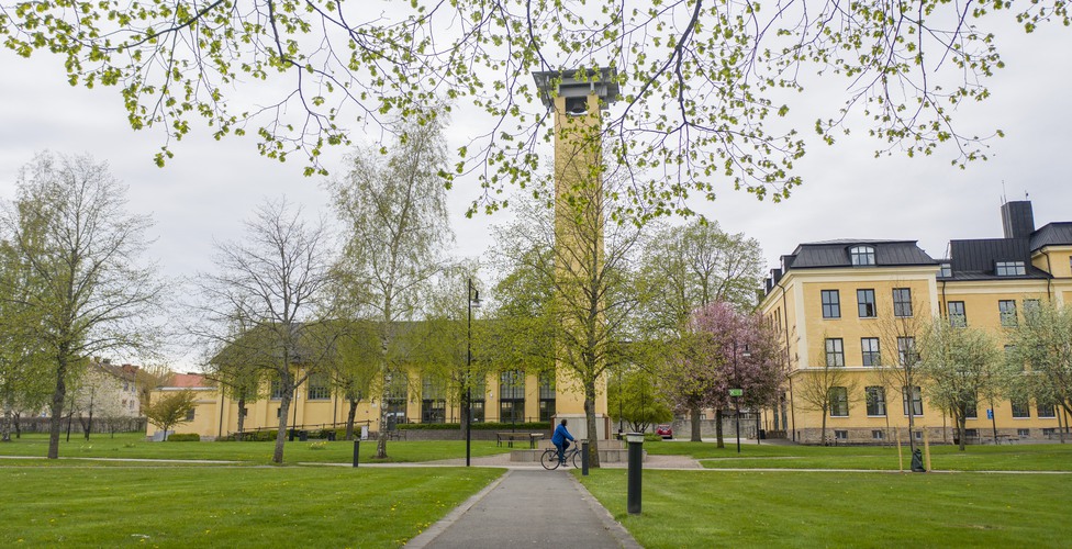 Kampanilen en vårdag ovanifrån