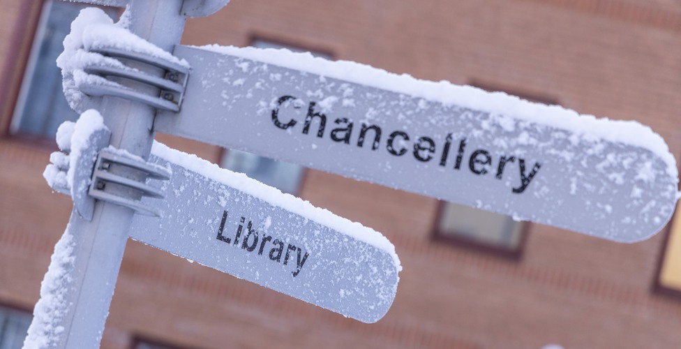 Årets första snö på campus