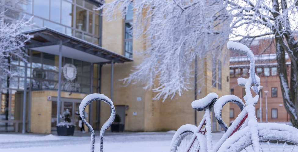 Årets första snö på campus