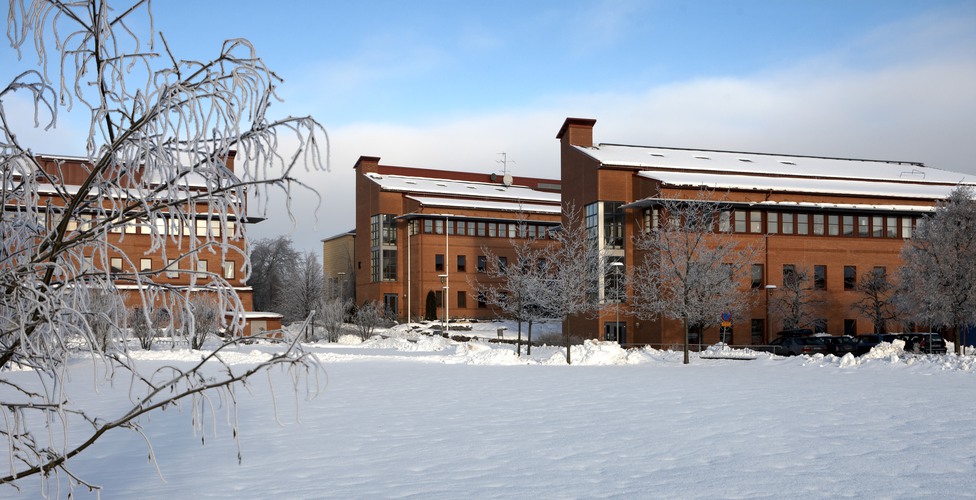 campus i vinterskrud