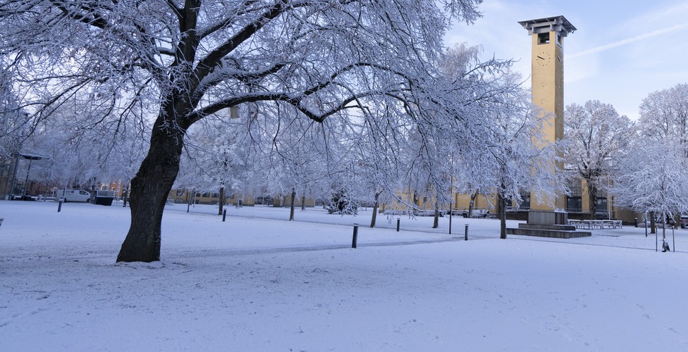 Vinter p&aring; campus