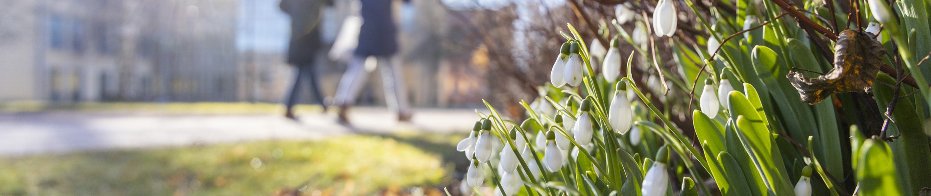 Start Högskolan i Skövde