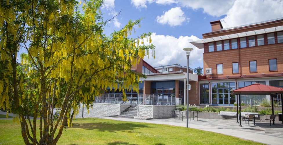 Utanför biblioteket en försommardag  med blommande förgrund