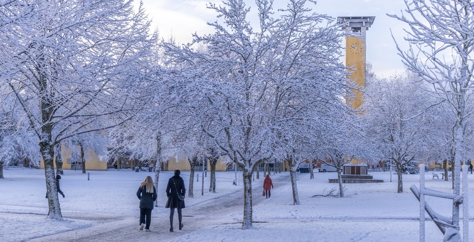 Årets första snö på campus