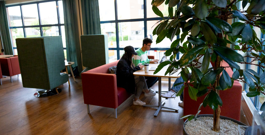 Studiemiljö, biblioteket