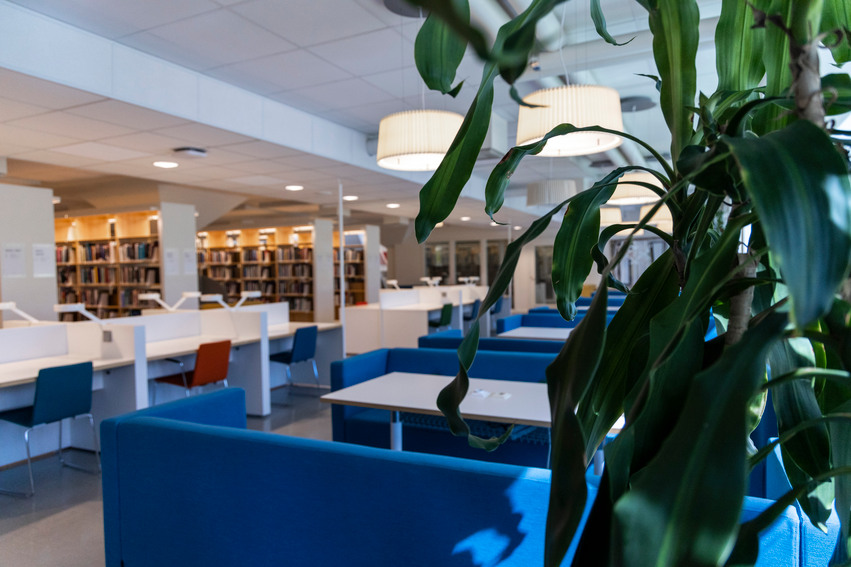 Studiemiljö, Biblioteket