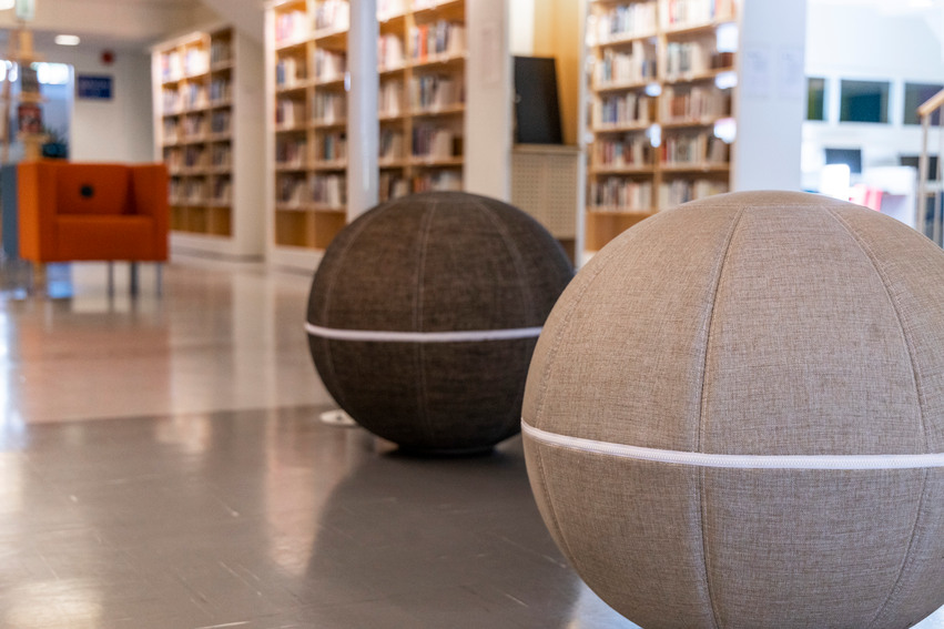 Studiemiljö, biblioteket