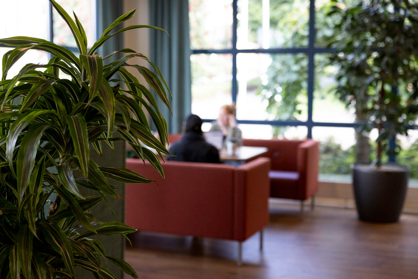 Studiemiljö, biblioteket