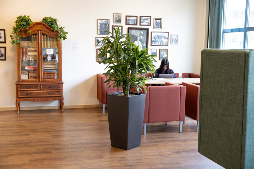 Studiemiljö, biblioteket
